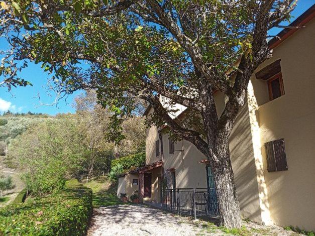 Agriturismo Il Giardino Pontassieve Bagian luar foto