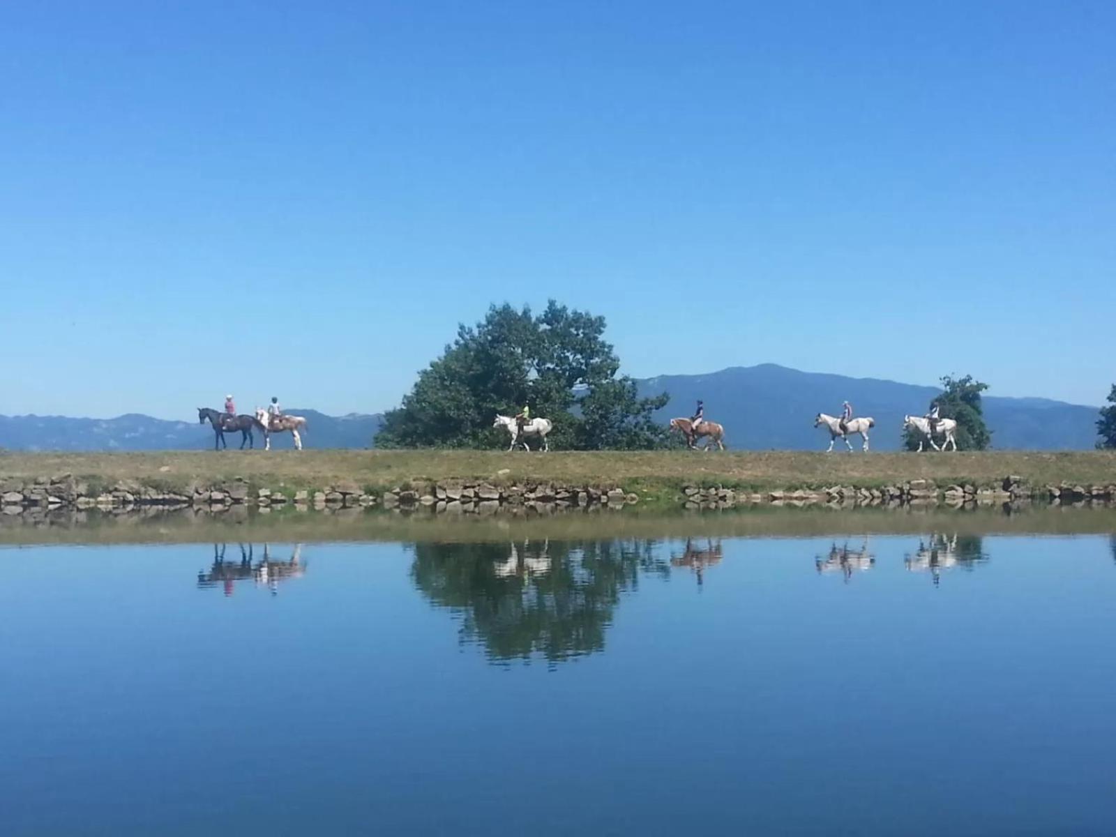 Agriturismo Il Giardino Pontassieve Bagian luar foto