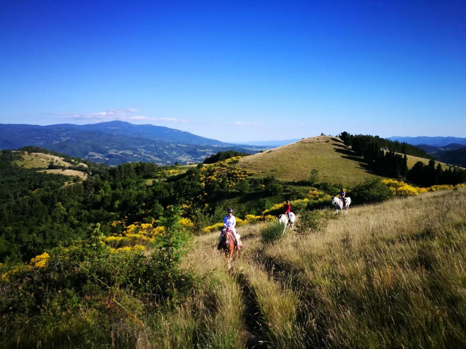 Agriturismo Il Giardino Pontassieve Bagian luar foto